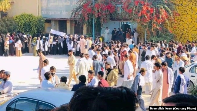 دانشجویان ننگرهار