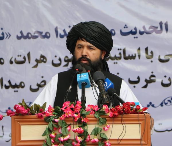 ندا محمد ندیم