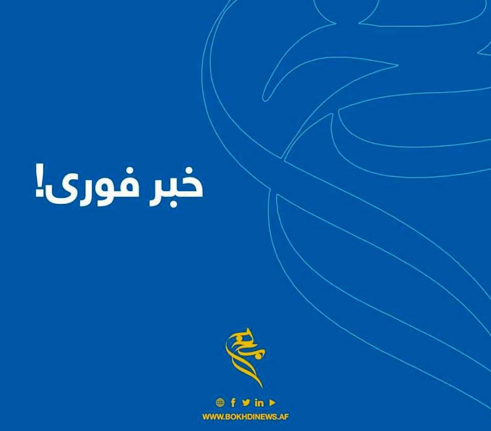 خبر فوری