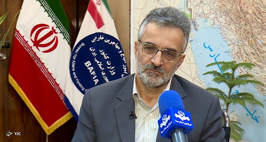 صادق رضادوست، مدیر کل امور اتباع و مهاجرین خارجی وزارت داخله ایران
