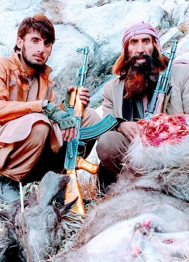 شکار غیرقانونی حیوانات در نورستان