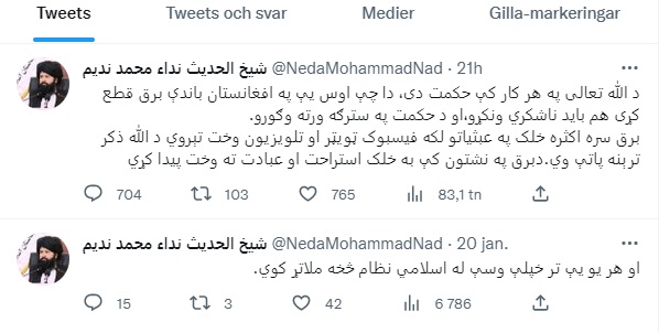 ندیم