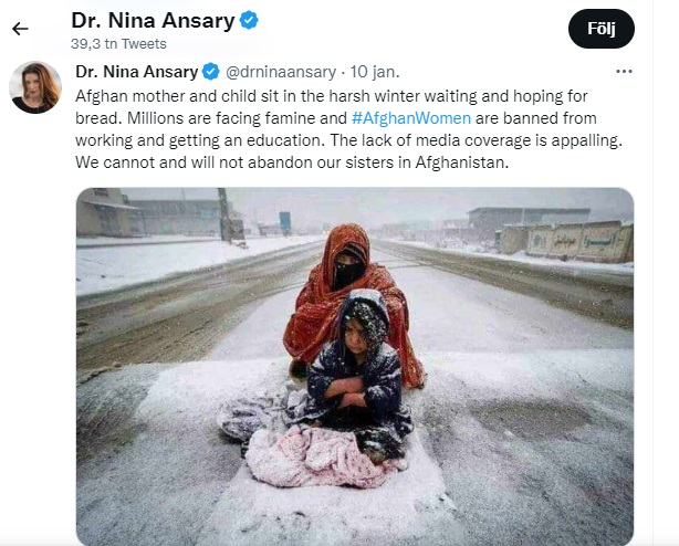 نینا انصاری