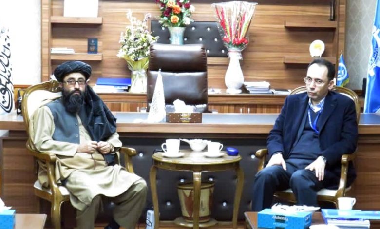 افغانستان و سازمان بین المللی کار