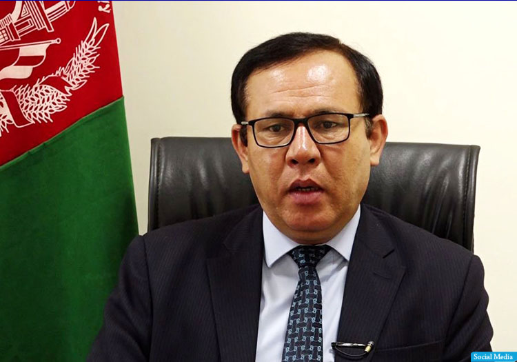 نعیم نظری