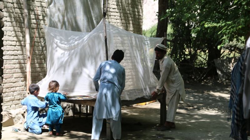 مالاریا در افغانستان