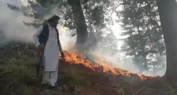 آتش سوزی در کنر